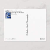 ニューオマハ ポストカード (裏面)