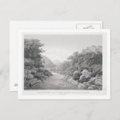 ニューオランダ:Blのワーガンバ川の眺め ポストカード (正面/裏面)