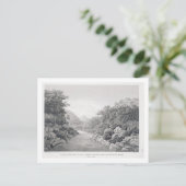 ニューオランダ:Blのワーガンバ川の眺め ポストカード (スタンド正面)