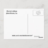 ニューオーリンズのネコの鳴くナイトクラブ ポストカード (裏面)