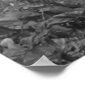 ニューオーリンズガルゴイル ポスター (角)