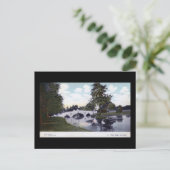 ニューオーリンズシティパーク、ルイジアナ州 1912年 ヴィンテージ ポストカード (スタンド正面)