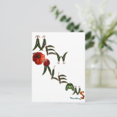 ニューオーリンズチリペッパーズ ポストカード (スタンド正面)