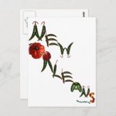 ニューオーリンズチリペッパーズ ポストカード (正面/裏面)