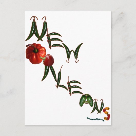 ニューオーリンズチリペッパーズ ポストカード (正面)