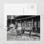 ニューオーリンズミルクカート： 1903 ポストカード (正面/裏面)