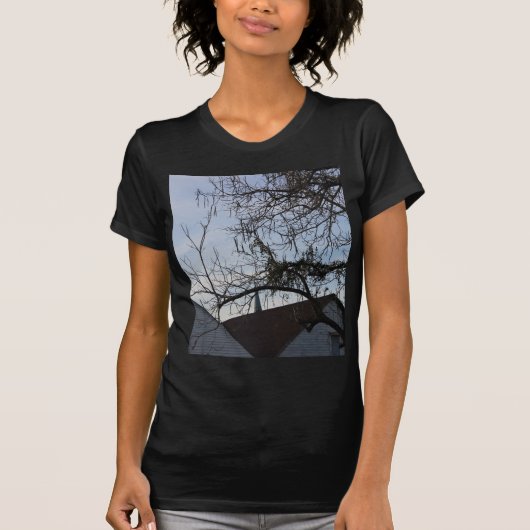 ニューオーリンズライフスタイル Tシャツ (正面)