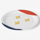 ニューオーリンズ国旗（ルイジアナ，米国） ペーパープレート (アングル)