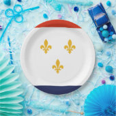 ニューオーリンズ州旗 ペーパープレート (パーティー)