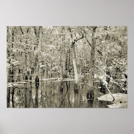 ニューオーリンズ湿地 ポスター (正面)