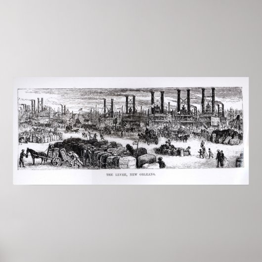 ニューオーリンズ・レヴィー ポスター (正面)
