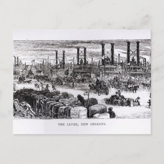 ニューオーリンズ・レヴィー ポストカード (正面)