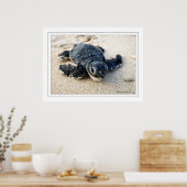 ニューカメ ポスター (キッチン)