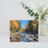 ニューカラフルイングランド風景秋 ポストカード (スタンド正面)