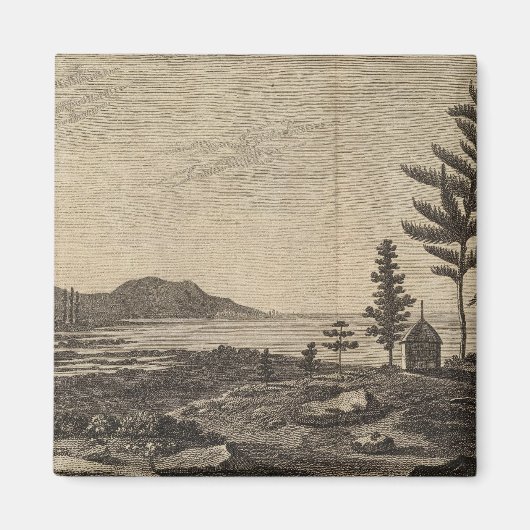 ニューカレドニアのパインズ島 マグネット (正面)