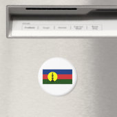 ニューカレドニア国旗 マグネット (インサイチュ (食洗機))