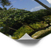 ニューカレドニア、アメディー諸島。アメディー島 ポスター (角)