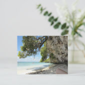 ニューカレドニア – リフォーアイランド – ショア ポストカード (スタンド正面)