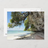 ニューカレドニア – リフォーアイランド – ショア ポストカード (正面/裏面)