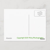 ニューカーク2 ポストカード (裏面)