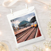 ニューキャッスル駅 フェイバーバッグ (クリップ留めされた状態)