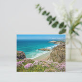 ニューキービーチインNorth Cornwallワイルドフラワークリフ ポストカード (スタンド正面)