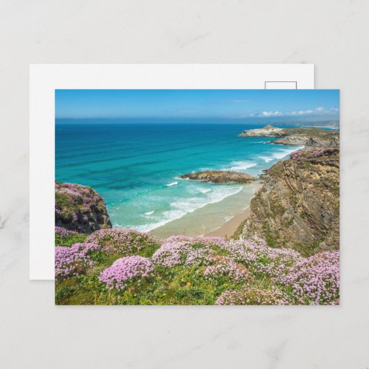 ニューキービーチインNorth Cornwallワイルドフラワークリフ ポストカード (正面/裏面)