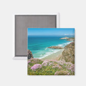 ニューキービーチインNorth Cornwallワイルドフラワークリフ マグネット (正面/裏面)