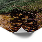 ニューキー ポスター (角)