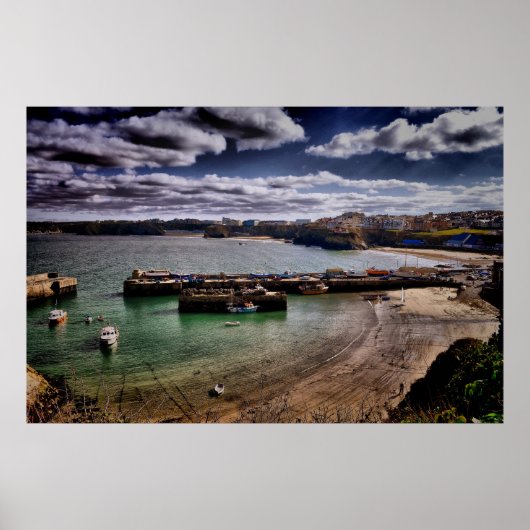 ニューキー ポスター (正面)