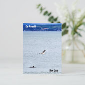 ニューキー ポストカード (スタンド正面)