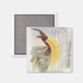 『ニューギニアの鳥』より極楽鳥 マグネット (正面/裏面)