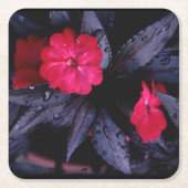 ニューギニアインパティエンス紙コースター スクエアペーパーコースター (正面)