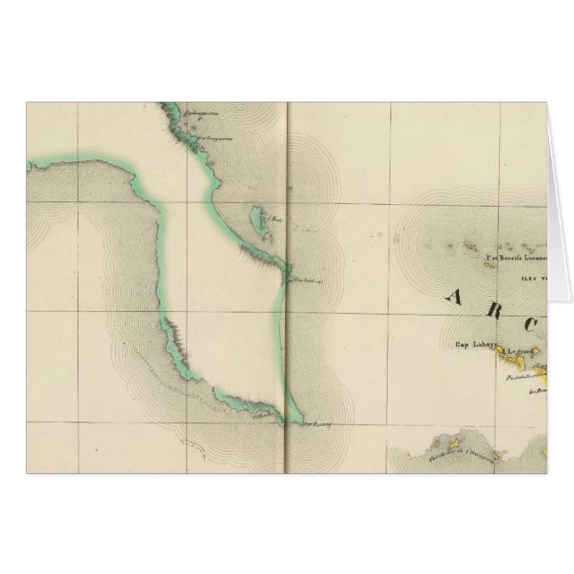 ニューギニア31号 (正面横)