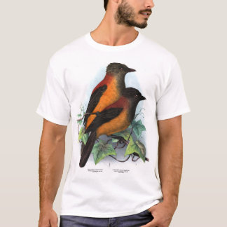 ニューギニア:ピトウイ種2種 Tシャツ