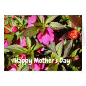 ニューギニア・ピ忙しンク・リジーの母の日 (正面横)