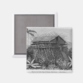 ニューギニア・メミワのアルファク村の家 マグネット (正面/裏面)