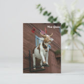 ニューグラルス牛 ポストカード (スタンド正面)