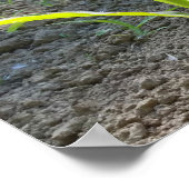 ニューコーン ポスター (角)