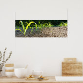 ニューコーン ポスター (キッチン)