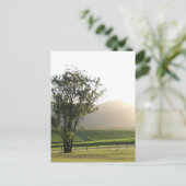 ニューサウスウェールズ州ハンターバレー ポストカード (スタンド正面)