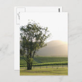 ニューサウスウェールズ州ハンターバレー ポストカード (正面/裏面)