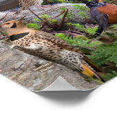 ニュージャージーの裏庭の鳥 ポスター (角)