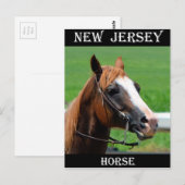 ニュージャージーの馬 ポストカード (正面/裏面)