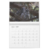 ニュージャージーの鳥 カレンダー (3月 2027)