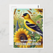 ニュージャージー州バードイースタンゴールドフィンチ ポストカード (正面/裏面)