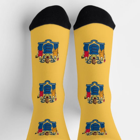 ニュージャージー州旗を持つ男性クルー用ソックス ソックス (上部)