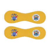 ニュージャージー州旗 野球ボール (パネル)