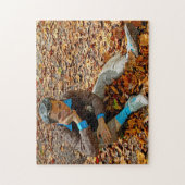 ニュージャージー彫刻の敷地。 ジグソーパズル (縦)