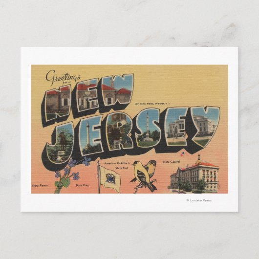 ニュージャージー(州首都/花/鳥) ポストカード (正面)